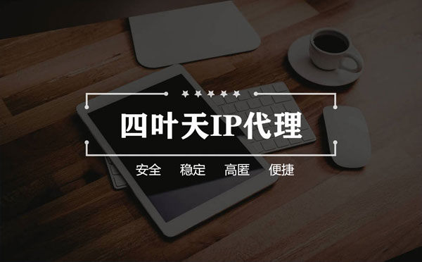 【黄石代理IP】如何快速搭建代理IP？怎么检查代理的效果？